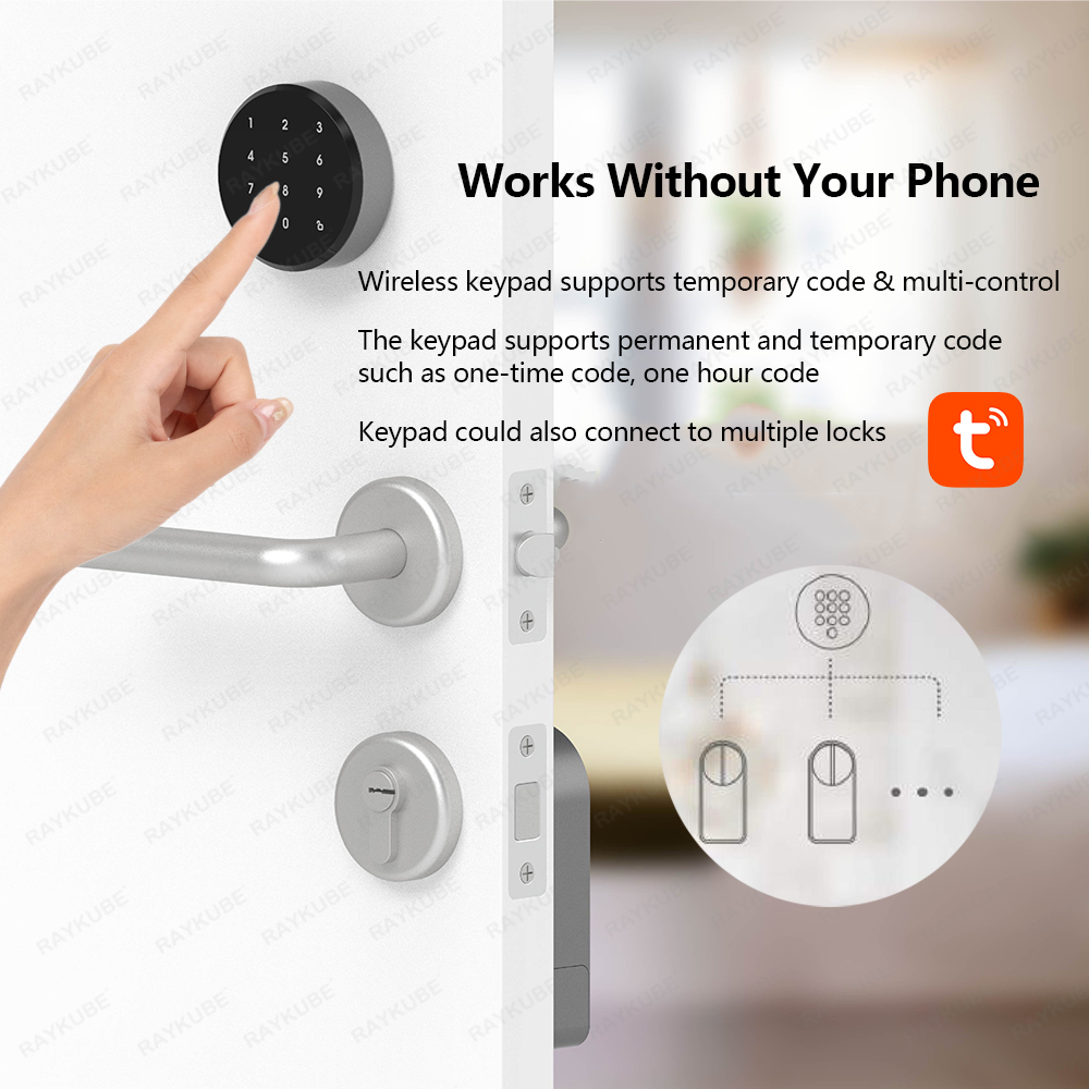 RAYKUBE A1 Pro Tuya BEL Smart  - đánh giá và giá Smart Door Lock Wifi