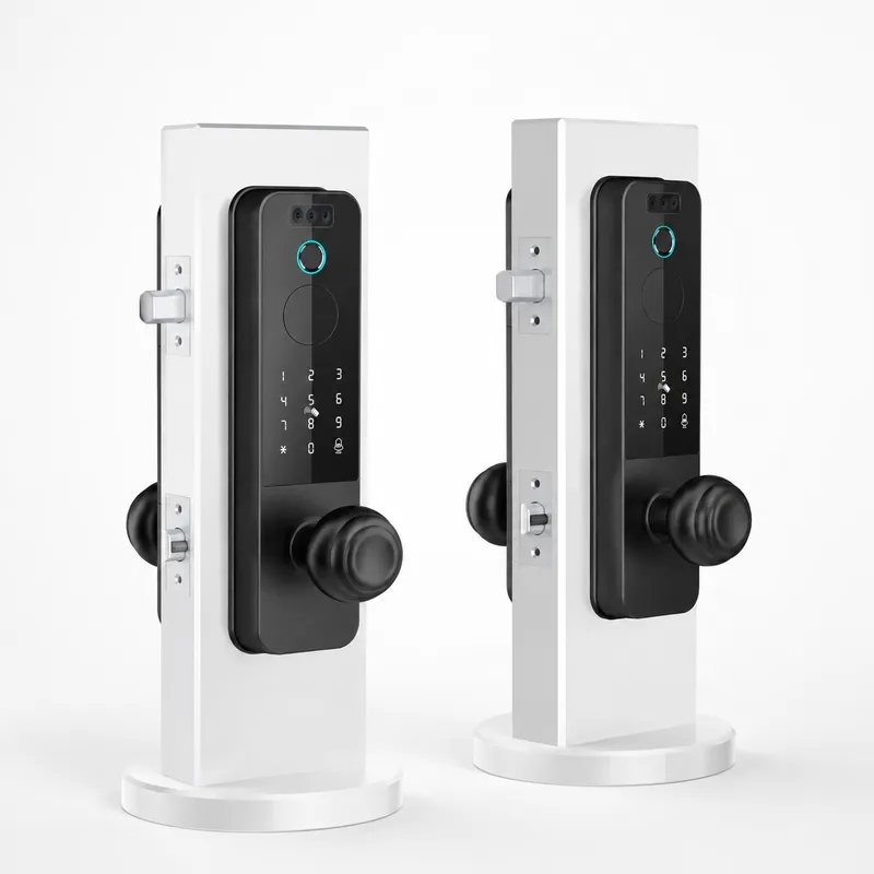 Cross-border Wooden Door Lock  - đánh giá và giá Smart Door Lock Wifi